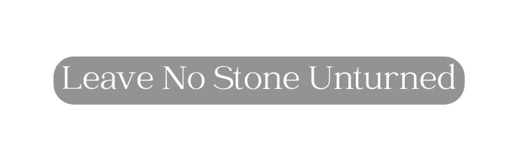 Leave No Stone Unturned